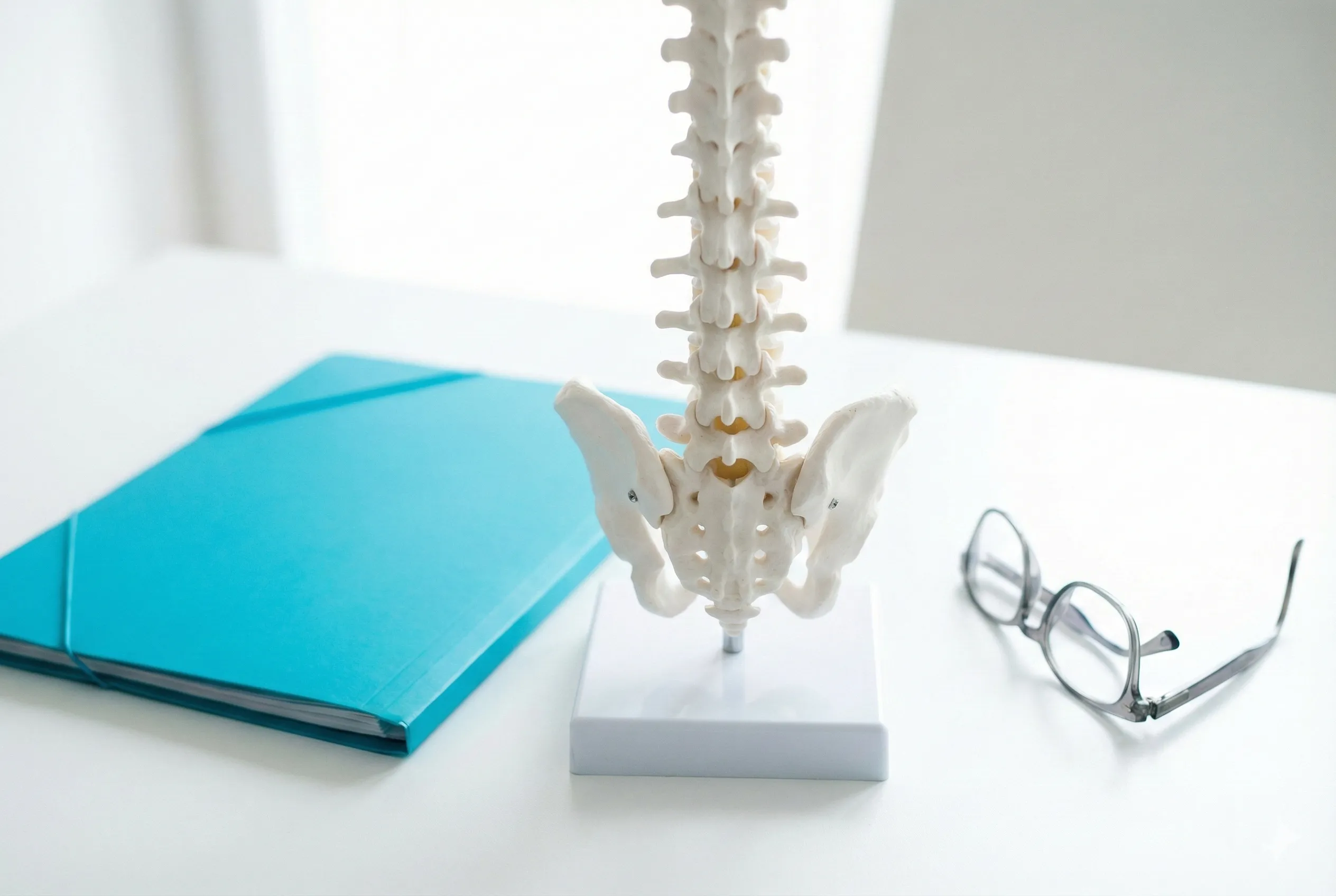 Cabinet d'ostéopathie - Colonne vertébrale